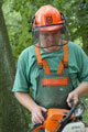 Click to see it big Ich mit Kettensäge, Impression aus dem Wald